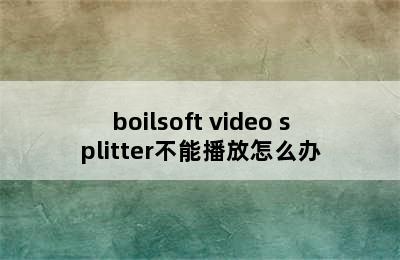 boilsoft video splitter不能播放怎么办